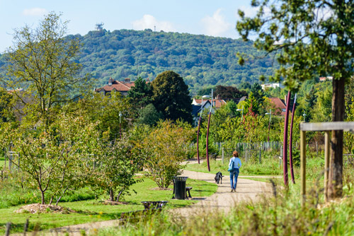 Le parc du Sansonnet