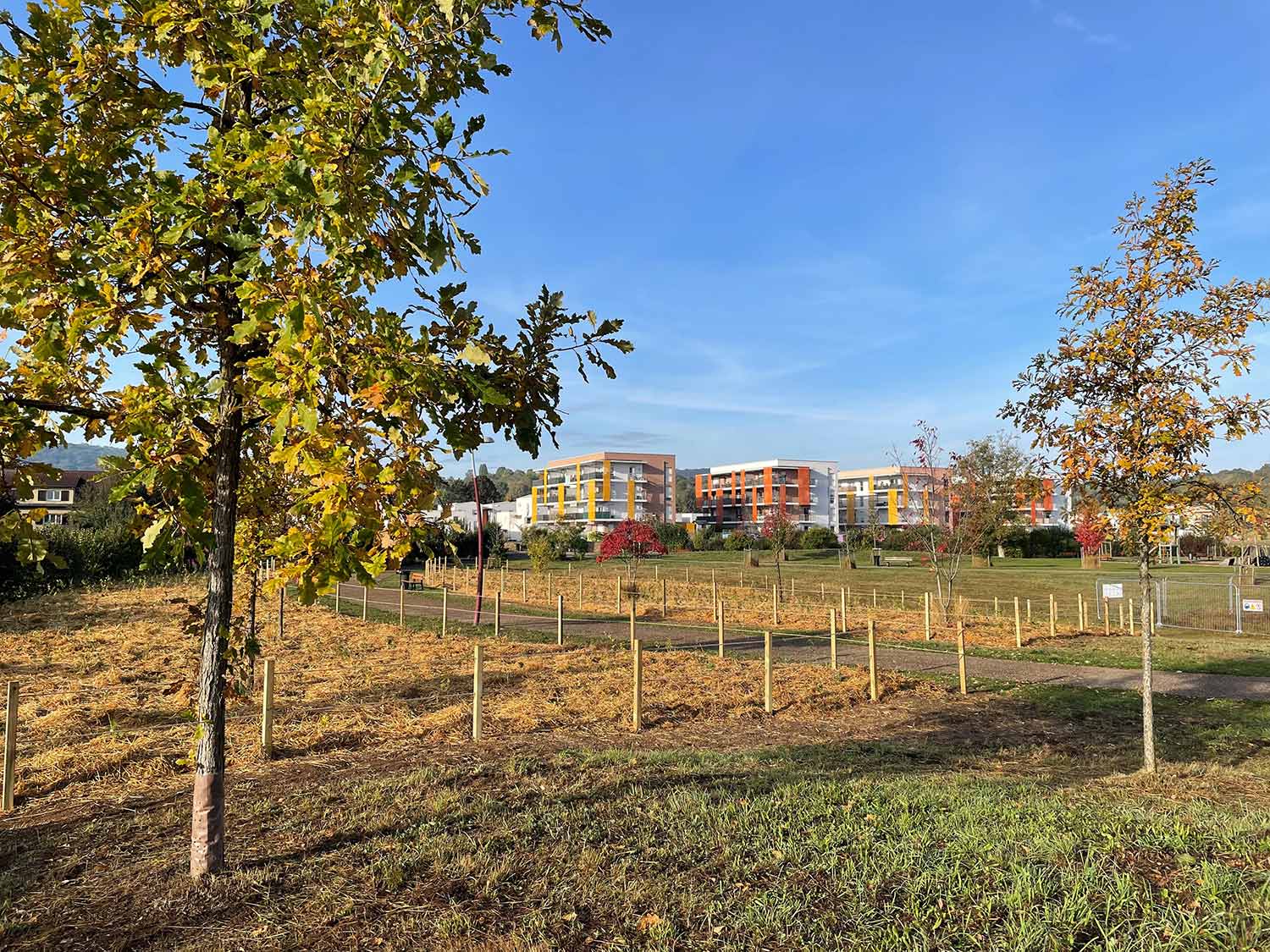 Plantation Forêt Urbaine du Sansonnet